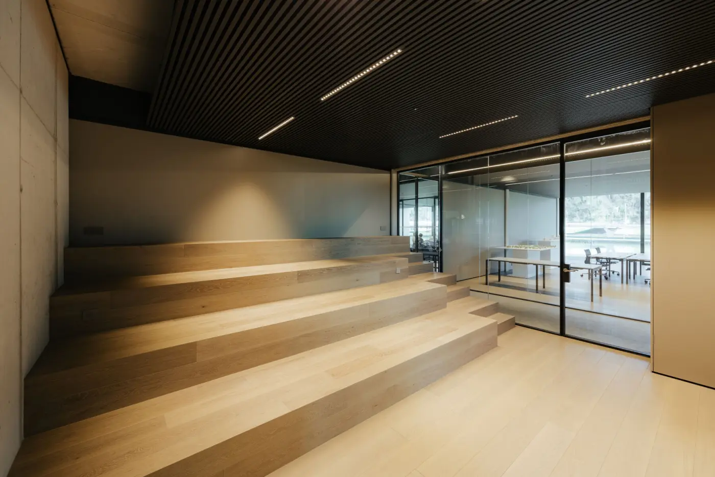Salle Tadao Ando